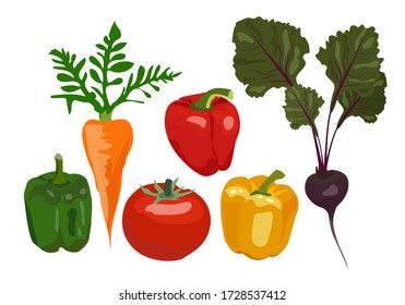 Vegetable set, organic ingredients. Tomato, beets, carrots, peppers on a white background. Can be used for menu labels, dishes
