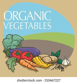 Vegetable set, Organic vegetables, colorful set, vector illustration