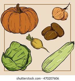 Vegetable set. Pack of healthy food