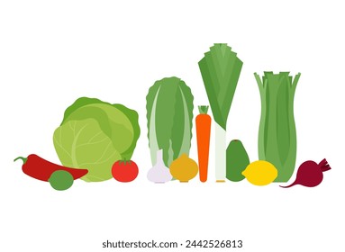 Juego de verduras - pimienta, col, puerro, apio, tomate, cebolla, ajo, aguacate, remolacha, limón, lima. Vegetariano, nutrición, cosecha, comida saludable. Estilo minimalista, ilustración vectorial plana. Aislado