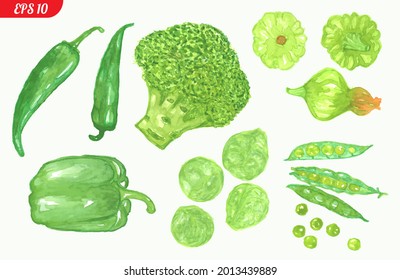 Vegetable set, peppers, peas, artichoke, onion and broccoli isolated on a white background. A pattern with green vegetables laid out, drawn in watercolor technique.