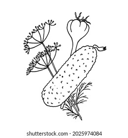 Vegetable Set For Pickling Cucumbers, Dill Branches, Garlic. A Black-and-white Sketch In The Style Of Doodles. EPS 10.