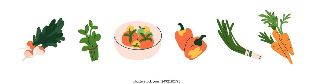 Vegetable set. Radish, greens, bell pepper, tomato, scallion, spring onion and carrot. Fresh healthy food. Natural organic produce for salad. Flat vector illustration isolated on white background