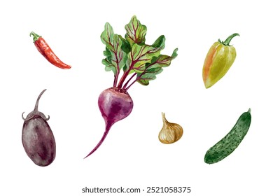 Aquarela de conjunto vegetal. Beterraba, berinjela, pepino, tomate, pimenta, cebola. Ilustração vetorial. Cartões, rótulos, Faixas de colheita e Dia Vegetariano.