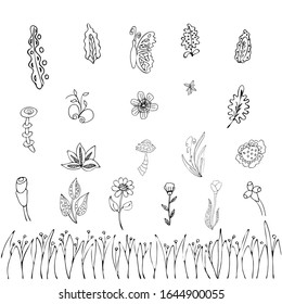 Vegetable set for your design. Isolated on a white background. Stock vector illustration. Black and white graphics. Minimalism. Hand drawn. Coloring book