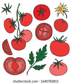 Vegetable Settomatoes Different Shapes Tomatoes Tomato Stock Vector 