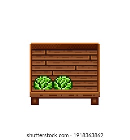 Vegetable shop pixel art. Cabbage in a wooden crate. Green headed cabbage, pixel art on white background. Vegetable stall. Showcase with vegetables waste. Vector illustration. 