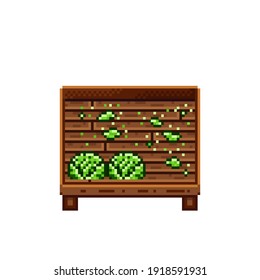 Vegetable shop pixel art. Cabbage in a wooden crate. Green headed cabbage, pixel art on white background. Vegetable stall. Showcase with vegetables waste. Vector illustration. 