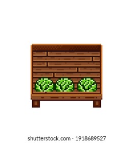 Vegetable shop pixel art. Cabbage in a wooden crate. Green headed cabbage, pixel art on white background. Vegetable stall. Showcase with vegetables waste. Vector illustration. 