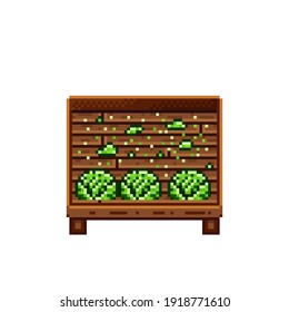 Vegetable shop pixel art. Cabbage in a wooden crate. Green headed cabbage, pixel art on white background. Vegetable stall. Showcase with vegetables waste. Vector illustration. 