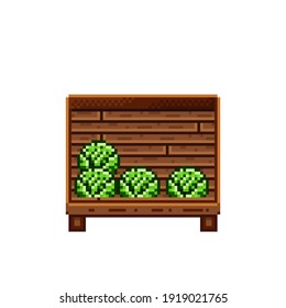 Vegetable shop pixel art. Cabbage in a wooden crate. Green headed cabbage, pixel art on white background. Vegetable stall. Showcase with vegetables waste. Vector illustration. 