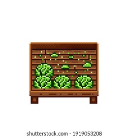 Vegetable shop pixel art. Cabbage in a wooden crate. Green headed cabbage, pixel art on white background. Vegetable stall. Showcase with vegetables waste. Vector illustration. 