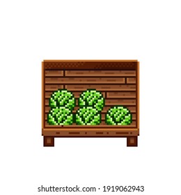 Vegetable shop pixel art. Cabbage in a wooden crate. Green headed cabbage, pixel art on white background. Vegetable stall. Showcase with vegetables waste. Vector illustration. 