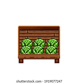 Vegetable shop pixel art. Cabbage in a wooden crate. Green headed cabbage, pixel art on white background. Vegetable stall. Showcase with vegetables waste. Vector illustration. 