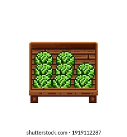 Vegetable shop pixel art. Cabbage in a wooden crate. Green headed cabbage, pixel art on white background. Vegetable stall. Showcase with vegetables waste. Vector illustration.