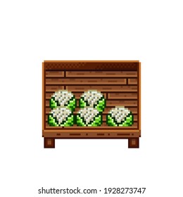 Vegetable shop pixel art. Cauliflower in a wooden crate. Green headed Cauliflower, pixel art food icon isolated on white background. Vegetable stall. Showcase with vegetables waste. Cauliflower pixel.