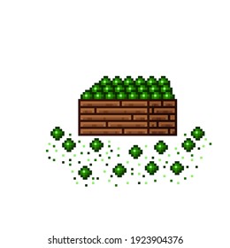 Pintura de píxel de tienda de verduras. Pisum sativum en una caja de madera. Pisum sativum, icono de arte de píxeles alimentarios aislado en fondo blanco. Pisum sativum stall. Muestra con residuos vegetales. Ilustración vectorial.