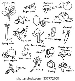 vegetable sketch in black doodle drawing free hand vector on white background