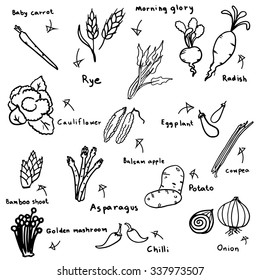 vegetable sketch in black doodle drawing free hand vector on white background