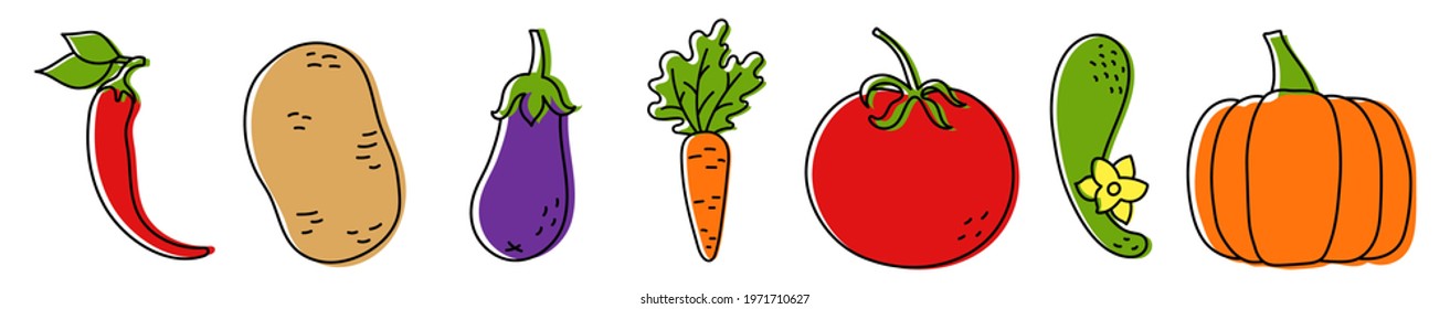 Vegetable sketch. Chilli pepper, potato, eggplant, carrot and tomato. Fresh cucumber with green leaves and pumpkin. Vector illustration. Hand drawn color icons. Healthy food. Vegetarian product