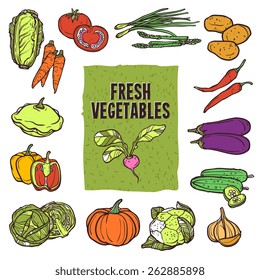 Vegetable sketch icons set with cauliflower asparagus cabbage and garlic isolated vector illustration