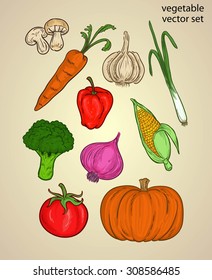 vegetable sketch or ingredient with colorful set