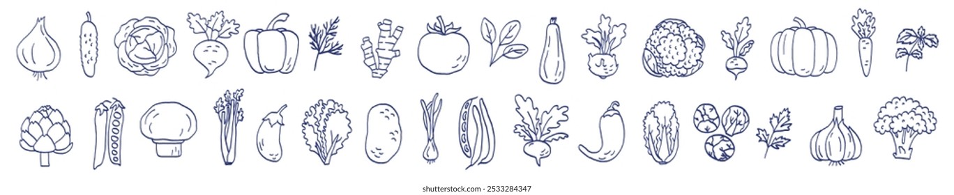 Vegetable sketch. Onion, garlic, tomato, cucumber and carrot. Beets, pepper, potato and cabbage. Radish, eggplant, pumpkin, spinach, artichoke and mushroom. Hand drawn blue pen or marker drawing
