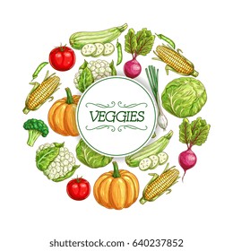 Vegetable sketch poster. Fresh tomato, cabbage, green onion, broccoli, zucchini, corn, pumpkin, fresh pea, beet and cauliflower veggies frame with copy space in center for farm market label design