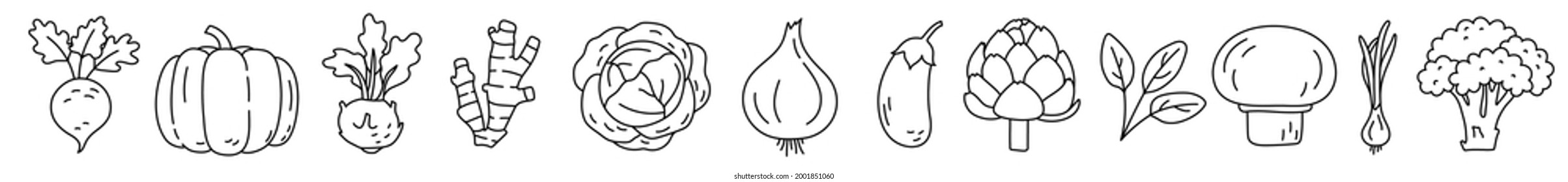 Vegetable sketch. Thin simple outline icon. Black contour line vector set. Beet, pumpkin, kohlrabi, ginger and cabbage. Onion, eggplant, artichoke, spinach, mushroom and broccoli