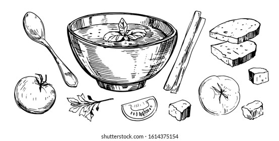 Vegetable soup  Hand drawn illustration converted to vector