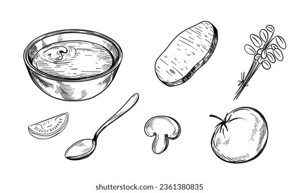 Sopa vegetal. Ilustración dibujada a mano convertida en vector