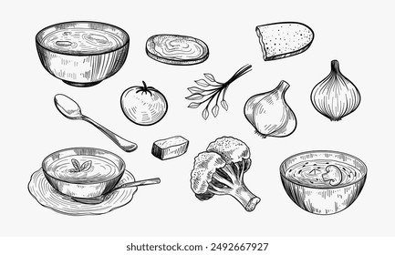 Sopa de verduras. Ilustración dibujada a mano convertida en Vector