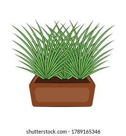 Vegetable or spice plant in a pot. Urban farming gardening - Vector
