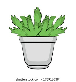 Vegetable or spice plant in a pot. Urban farming gardening - Vector
