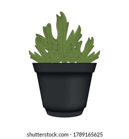 Vegetable or spice plant in a pot. Urban farming gardening - Vector