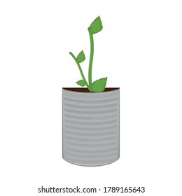 Vegetable or spice plant in a pot. Urban farming gardening - Vector
