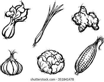 Vegetable and Spice Sketch-Set of healthy food doodles, properly grouped, derived from my artwork