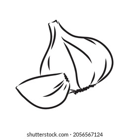 Vegetable, spice, three garlics, vector, monochrome contour on white
