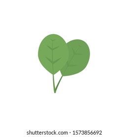 vegetable spinach flat style icon vector illustration design