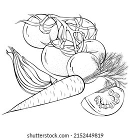 Vegetable still life. Tomato branch, whole carrot, onion. Vector illustrations in hand drawn sketch doodle style. Line art botanical food isolated on white. Element for coloring book, design, print.