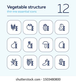 Vegetable structure line icon set. Set of line icons on white background. DNA structure, pear, mushroom. Ecology concept. Vector illustration can be used for topics like biology, nature, food
