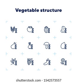 Vegetable structure line icon set. Set of line icons on white background. DNA structure, pear, mushroom. Ecology concept. Vector illustration can be used for topics like biology, nature, food