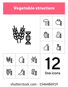 Vegetable structure line icon set. Set of line icons on white background. DNA structure, pear, mushroom. Ecology concept. Vector illustration can be used for topics like biology, nature, food