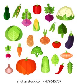 Vegetable summer harvest, vegan food collection. Potato and napa cabbage, capsicum annuum or bell and red pepper, cauliflower and cucumber, corn and pumpkin, eggplant and radish, onion and patty pan