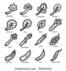 vegetable thin line icon set,vector illustration