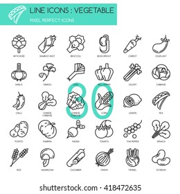 Vegetable , thin line icons set ,pixel perfect icon