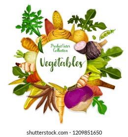 Vegetable tuber roots and farm veggies. Vector vegan sweet potato, radish or turnip and legume bread beans with jicama and cassava manioc. Vegetarian healthy food