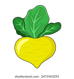 Vegetable turnip icon isolated on white background.