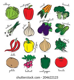 Vegetable Vector