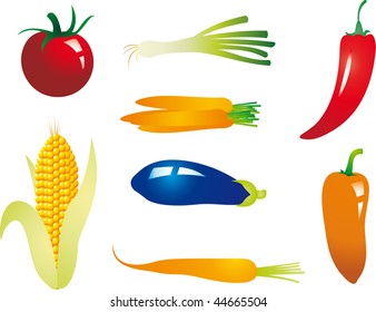 Vegetable vector